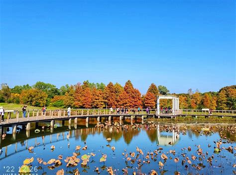 上環 公園|香港 (上环) 最佳公园与自然景点